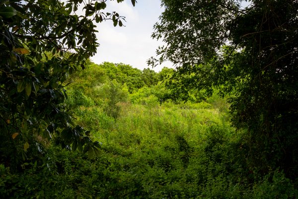 High Island, Texas
